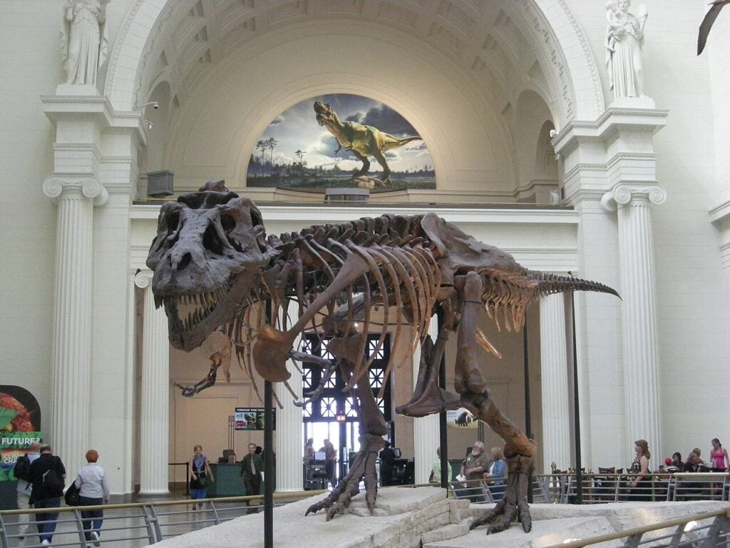 1280px Field Museum August 2010 1 Sue